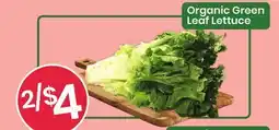 Healthy Planet Organic Green Leaf Lettuce offer