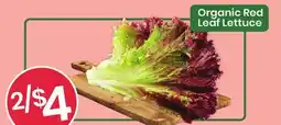Healthy Planet Organic Red Leaf Lettuce offer