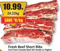 Starsky Fresh Beef Short Ribs offer
