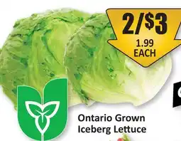 Starsky Ontario Grown Iceberg Lettuce offer