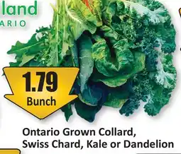Starsky Ontario Grown Collard, Swiss Chard, Kale or Dandelion offer