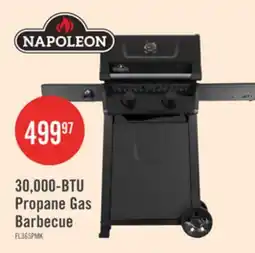 The Brick Napoleon 365 30,000-BTU 2-Burner Propane Gas Grill - FL365PMK-1 offer
