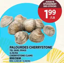 Kim Phat CHERRYSTONE CLAMS offer