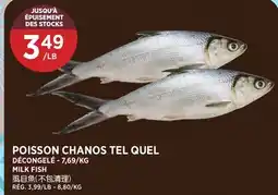 Kim Phat MILK FISH offer