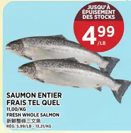 Kim Phat FRESH WHOLE SALMON offer