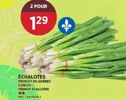 Kim Phat FRENCH SCALLIONS offer