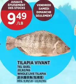 Kim Phat TEL QUEL WHOLE LIVE TILAPIA offer