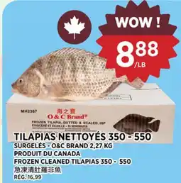 Kim Phat FROZEN CLEANED TILAPIAS 350 - 550 offer