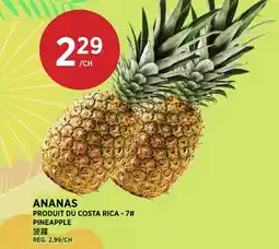 Kim Phat PINEAPPLE offer