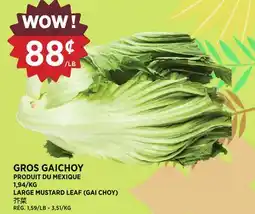 Kim Phat LARGE MUSTARD LEAF (GAI CHOY) offer