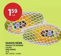 Kim Phat RIPE PAPAYA offer