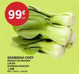 Kim Phat SHANGHAI BOKCHOY offer