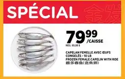 Kim Phat FROZEN FEMALE CAPELIN WITH ROE offer