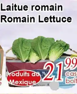 Marche C&T Laitue romain offer