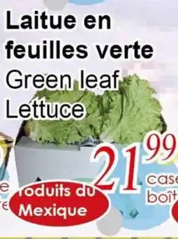 Marche C&T Laitue en feuilles verte offer