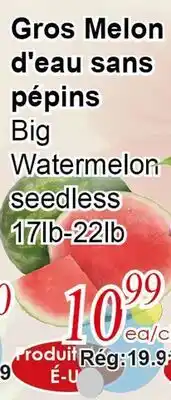 Marche C&T Big Watermelon seedless offer
