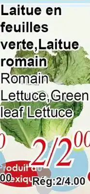 Marche C&T Laitue en feuilles verte, Laitue romain offer