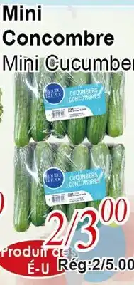 Marche C&T Mini Concombre offer