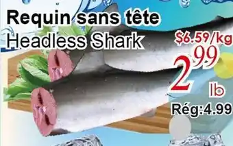 Marche C&T Requin sans tête offer