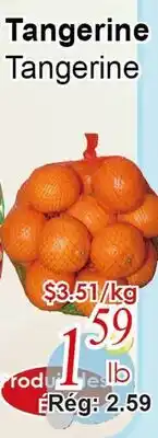 Marche C&T Tangerine offer