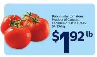 Bulk Cluster Tomatoes