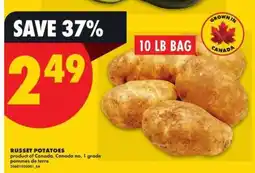 No Frills Russet Potatoes offer