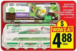 Food Basics SELECTION LARGE EGGS offer
