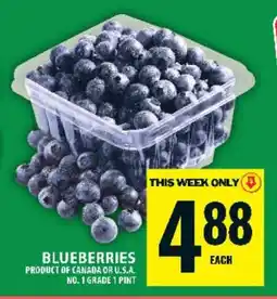 Food Basics Blueberries offer