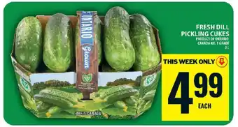 Food Basics Fresh Dill Pickling Cukes offer