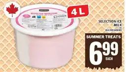 Food Basics SELECTION ICE MILK offer