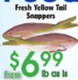 Danforth Food Market Fresh Yellow Tail Snappers offer