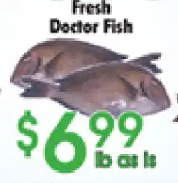 Danforth Food Market Fresh Doctor Fish offer