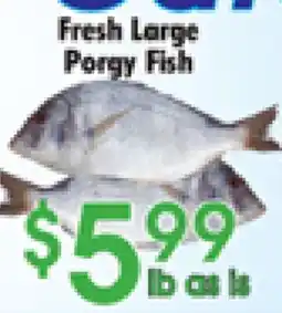Danforth Food Market Fresh Large Porgy Fish offer
