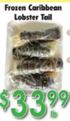 Danforth Food Market Frozen Caribbean Lobster Tail offer