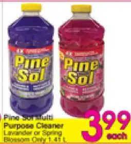 Danforth Food Market Pine Sol Multi Purpose Cleaner offer