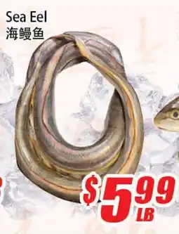 WinCo Food Mart Sea Eel offer