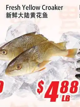 WinCo Food Mart Fresh Yellow Croaker offer
