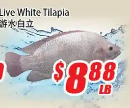 WinCo Food Mart Live White Tilapia offer