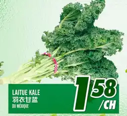 Marché Lian Tai LAITUE KALE offer