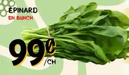 Marche Salaberry ÉPINARD offer