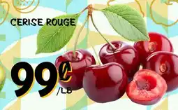 Marche Salaberry CERISE ROUGE offer
