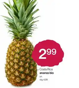 Avril Ananas bio offer