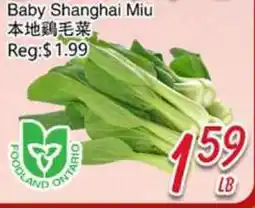 Foody Mart Baby Shanghai Miu offer