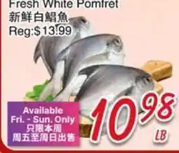 Foody Mart Fresh White Pomfret offer