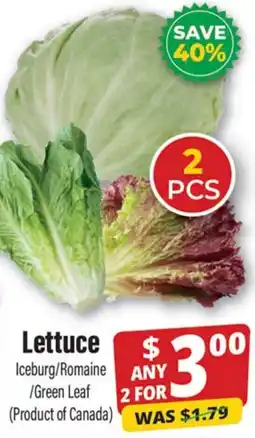 Iqbal Foods Lettuce offer