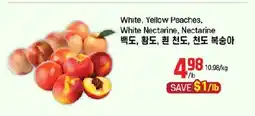 Galleria Supermarket White, Yellow Peaches, White Nectarine, Nectarine offer
