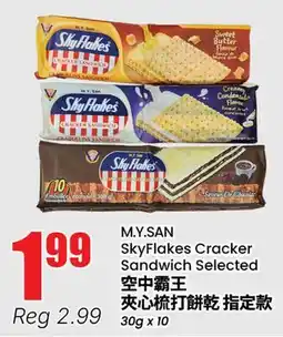 Btrust Supermarket M.Y.SAN SkyFlakes Cracker Sandwich Selected offer