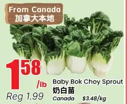 Btrust Supermarket Baby Bok Choy Sprout offer