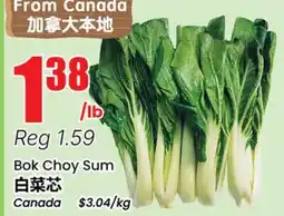 Btrust Supermarket Bok Choy Sum offer