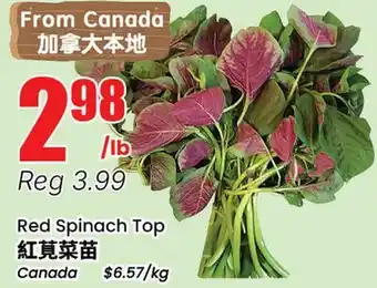 Btrust Supermarket Red Spinach Top offer